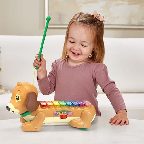 VTech Zoo Jamz Doggy Xylophone
