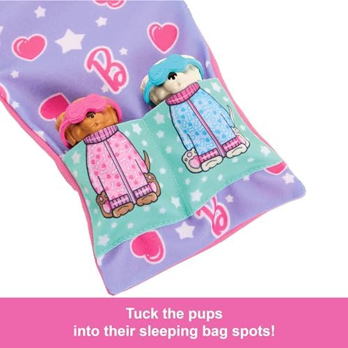 Barbie Doll Playset