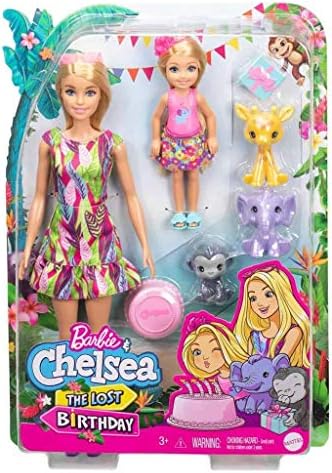 Barbie and Chelsea The Lost Birthday Playset Chelsea Dolls 3 Pets 3 to 7 Year Olds
