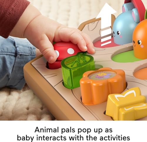 Fisher-Price Baby Toy Hide Peek Pop-Up Animal-Themed Sensory Activity with Wood Accents