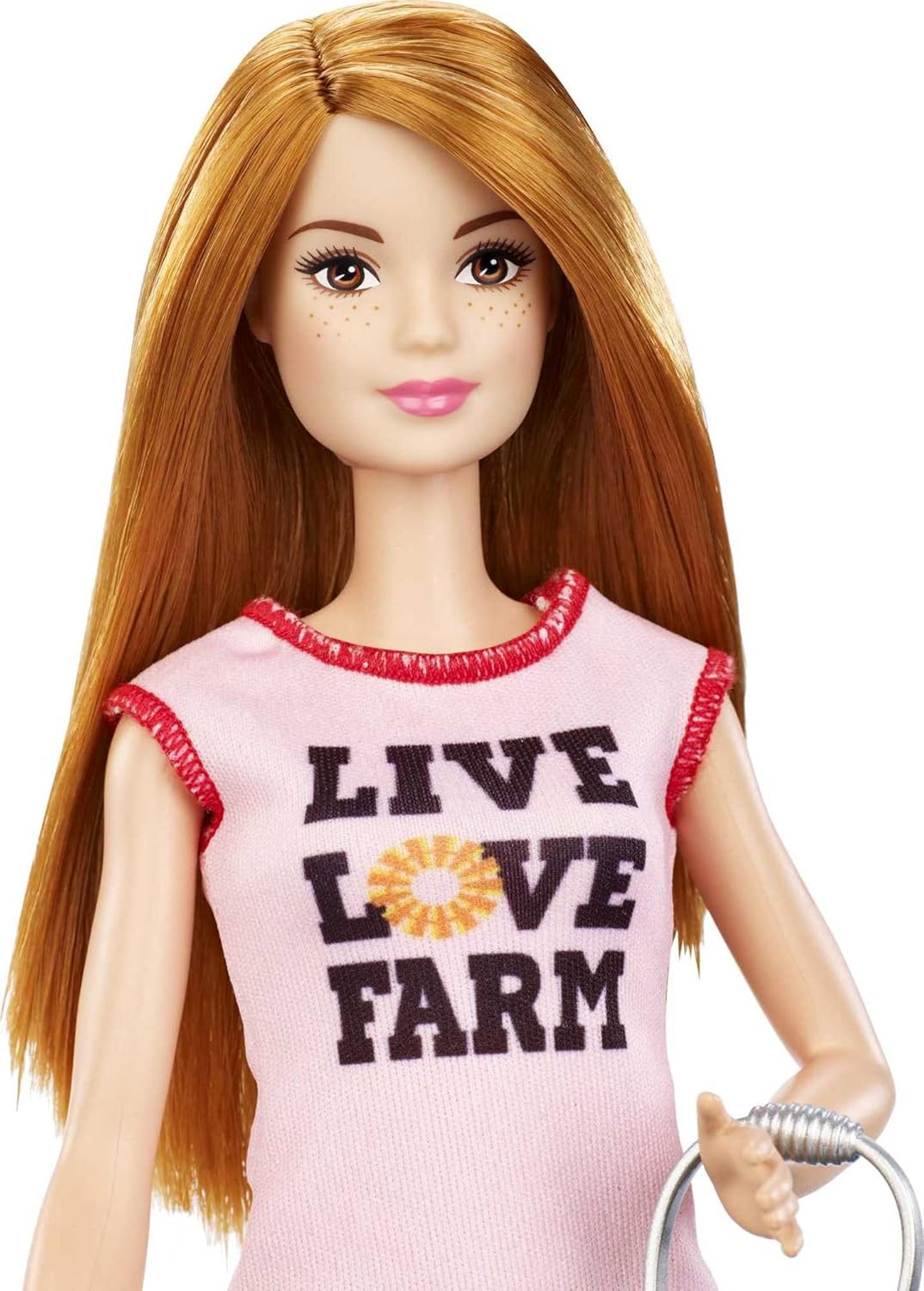 Barbie Careers Playset