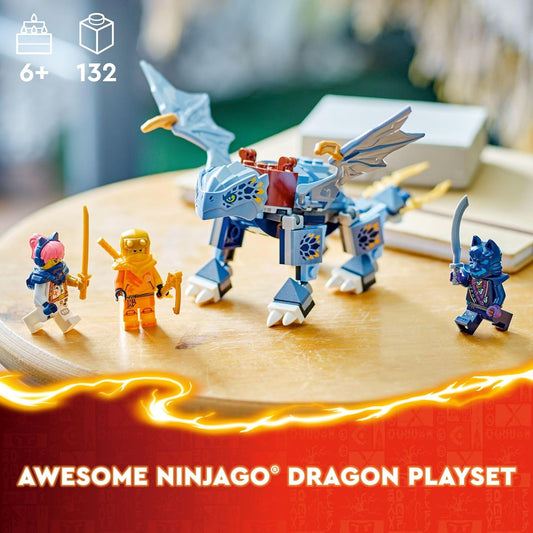 LEGO NINJAGO Young Dragon Riyu Playset