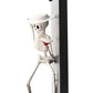 Stevenson Entertainment Social Distortion Skeleton 7 Figure