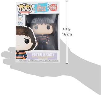 Funko Pop Television The Brady Bunch - Peter Brady Figure Multicolor