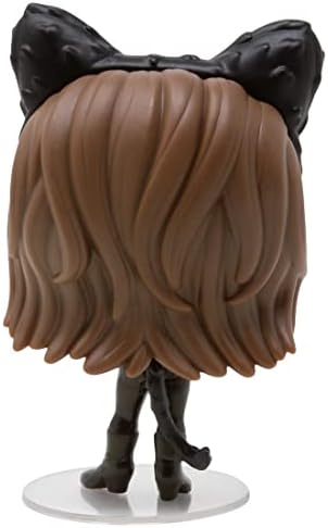 Funko TV Friends - Monica Geller as Catwoman Pop Vinyl Figure Bundled with Compatible Box