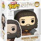 Funko Bitty POP HP GOF - Hagrid 4-Pack and A Surprise Mystery Mini Figure - 0.9 Inch 2.2