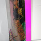 Mattel 1991 Barbie Dolls of The World 12 Inch Doll Collection - Spanish Barbie Doll