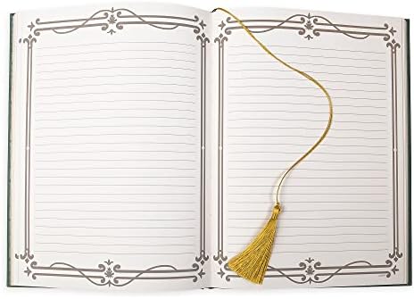 Disney The Princess and The Frog Journal