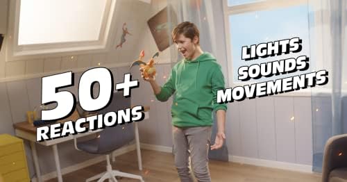 Pokemon Deluxe Feature Charizard Action Figure