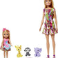 Barbie and Chelsea The Lost Birthday Playset Chelsea Dolls 3 Pets 3 to 7 Year Olds