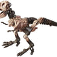 Transformers Generations War for Cybertron Kingdom Deluxe WFC-K7 Paleotrex Fossilizer
