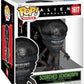 Funko POP Super Aliens Romulus - Scorched Xenomorph - Collectable Vinyl Figure