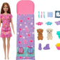 Barbie Doll Playset
