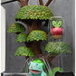 Pokemon Select Forest Environment - Multi-Level Display Set with 2-Inch Bulbasaur and