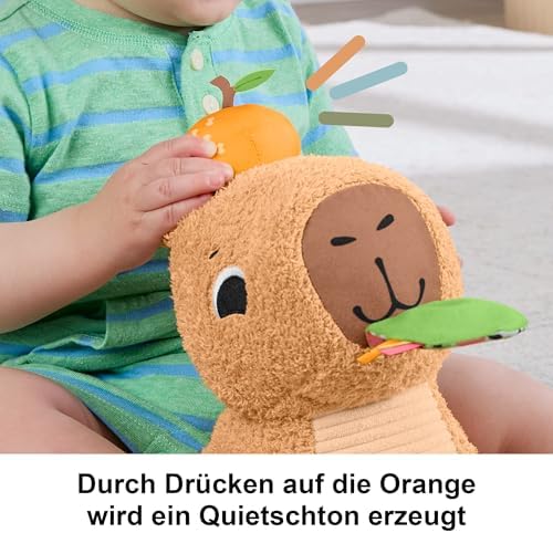 Fisher-Price Baby Sensory Toy Snuggly Snacky Capybara Plush