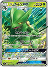 Pokemon Card Game