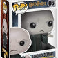 Funko POP Movies Harry Potter - Lord Voldemort Vinyl Figure Bundled with Compatible Box