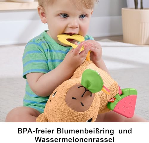 Fisher-Price Baby Sensory Toy Snuggly Snacky Capybara Plush