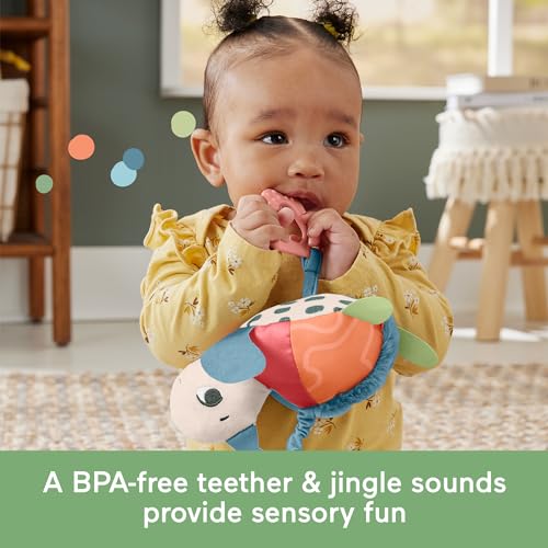 Fisher-Price Baby Stroller Toy Planet Friends Sea Me Bounce Turtle Plush