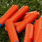 Nerf N Series N1 Darts Includes 100 Darts Compatible Only with Nerf N Series Blasters