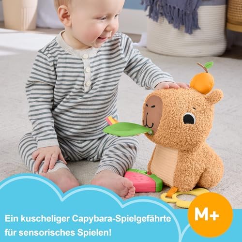 Fisher-Price Baby Sensory Toy Snuggly Snacky Capybara Plush