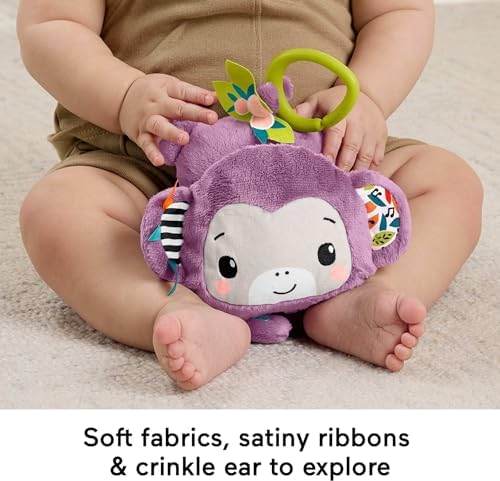 Fisher-Price Baby Stroller Toy Sing Go Purple Monkey Musical Sensory Plush