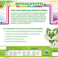 Pokemon TCG Paldea Pin Collection - Sprigatito