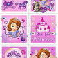 Disney Princess Hopper Ball for - 15 Inch Princess Bouncy Ball with Handle Plus and More