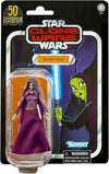 Star Wars Vintage Collection 3.75 inch Basic Figure