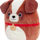Squishmallows 10 Sassafras the St. Bernard Dog - Officially Licensed Kellytoy Plush